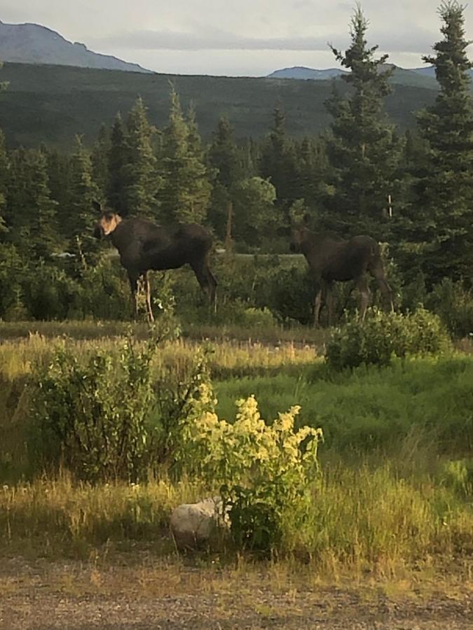 Denali Park Hotel Хілі Екстер'єр фото