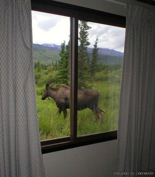 Denali Park Hotel Хілі Екстер'єр фото